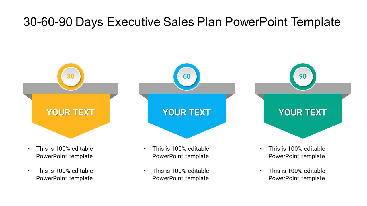 30 60 90 Days Executive Sales Plan PowerPoint Template