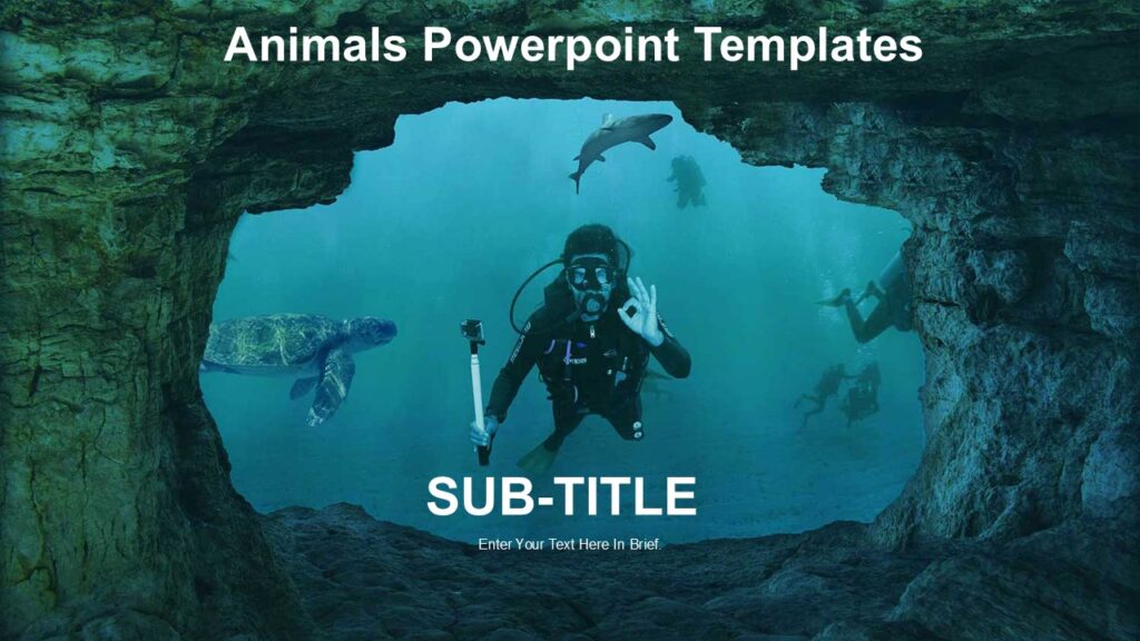 Animals Powerpoint Templates : 100% Editable PPTx