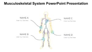 Musculoskeletal System PowerPoint Presentation : 100% Editable PPTx
