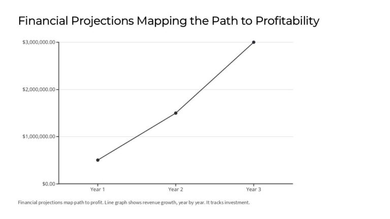 Path To Profitability Financial Projections Mapping the Path to Profitability PowerPoint ...
