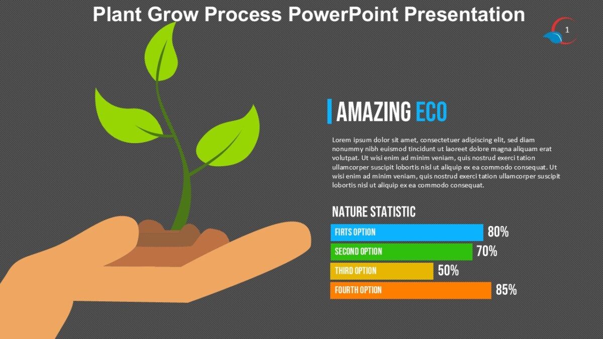 Plant Grow Process PowerPoint Presentation : 100% Editable PPTx